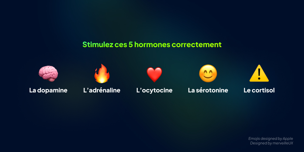 Les différentes hormones sécrétées à l'utilisation d'un logiciel